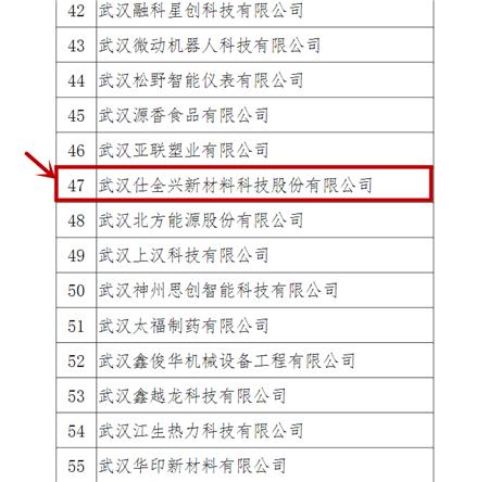 武汉仕全兴荣获2020年东西湖区科技“小巨人”企业称号