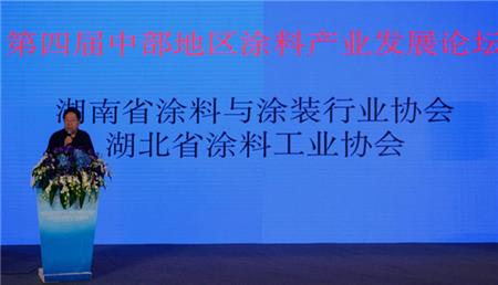 湖北省涂料工业协会常务副会长岳望坤