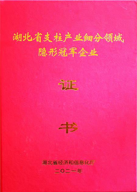 湖北省支柱产业细分领域隐形冠军企业