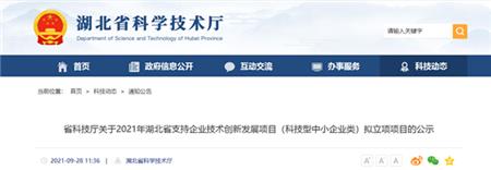 2021年湖北省支持企业技术创新发展项目