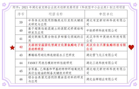 附件：2021年湖北省支持企业技术创新发展项目（科技型中小企业类）拟立项项目