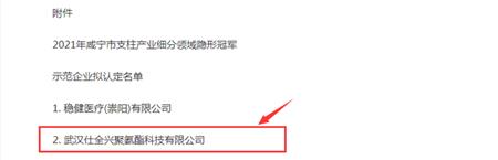 2021年咸宁市支柱产业细分领域隐形冠军企业